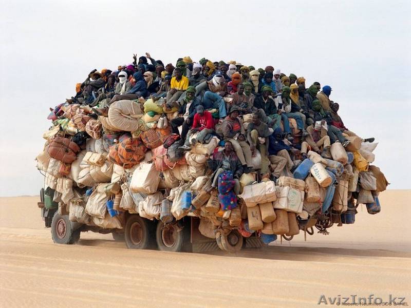 Продаю узбеков,киргизов (по 10 штук) разнорабочие                                - Изображение #1, Объявление #100161