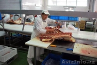 Оборудование для производства  - Изображение #8, Объявление #164773