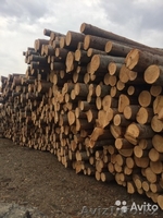 Необрезной пиломатериал. Доска. Брус - Изображение #2, Объявление #1610307