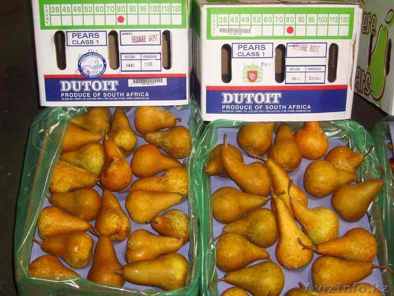 фрукты оптом от производителя - Изображение #1, Объявление #113970