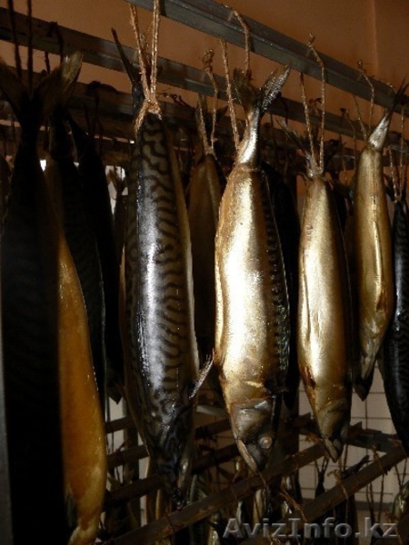 Оборудование для мясо-рыбопереработки - Изображение #3, Объявление #145320