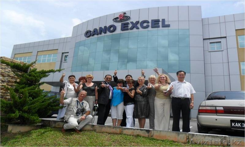 Линчжи, Рейши, Ганодерма (Кофе, Чай) - Изображение #3, Объявление #209839